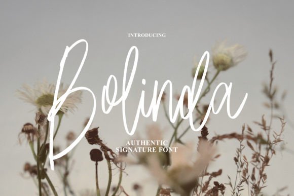 Bolinda: Crafting Elegance with a Script Typeface